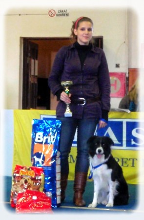 MR DOGDANCING 2010